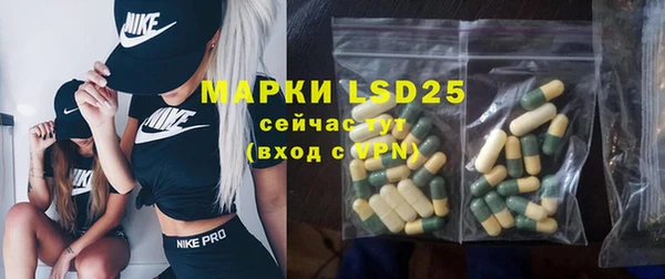 хмурый Арсеньев