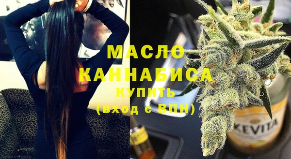 хмурый Арсеньев