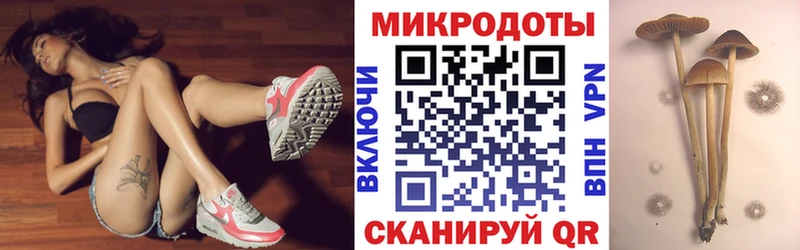 Галлюциногенные грибы Psilocybe  Азнакаево 